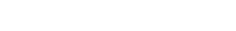 skyoption logo